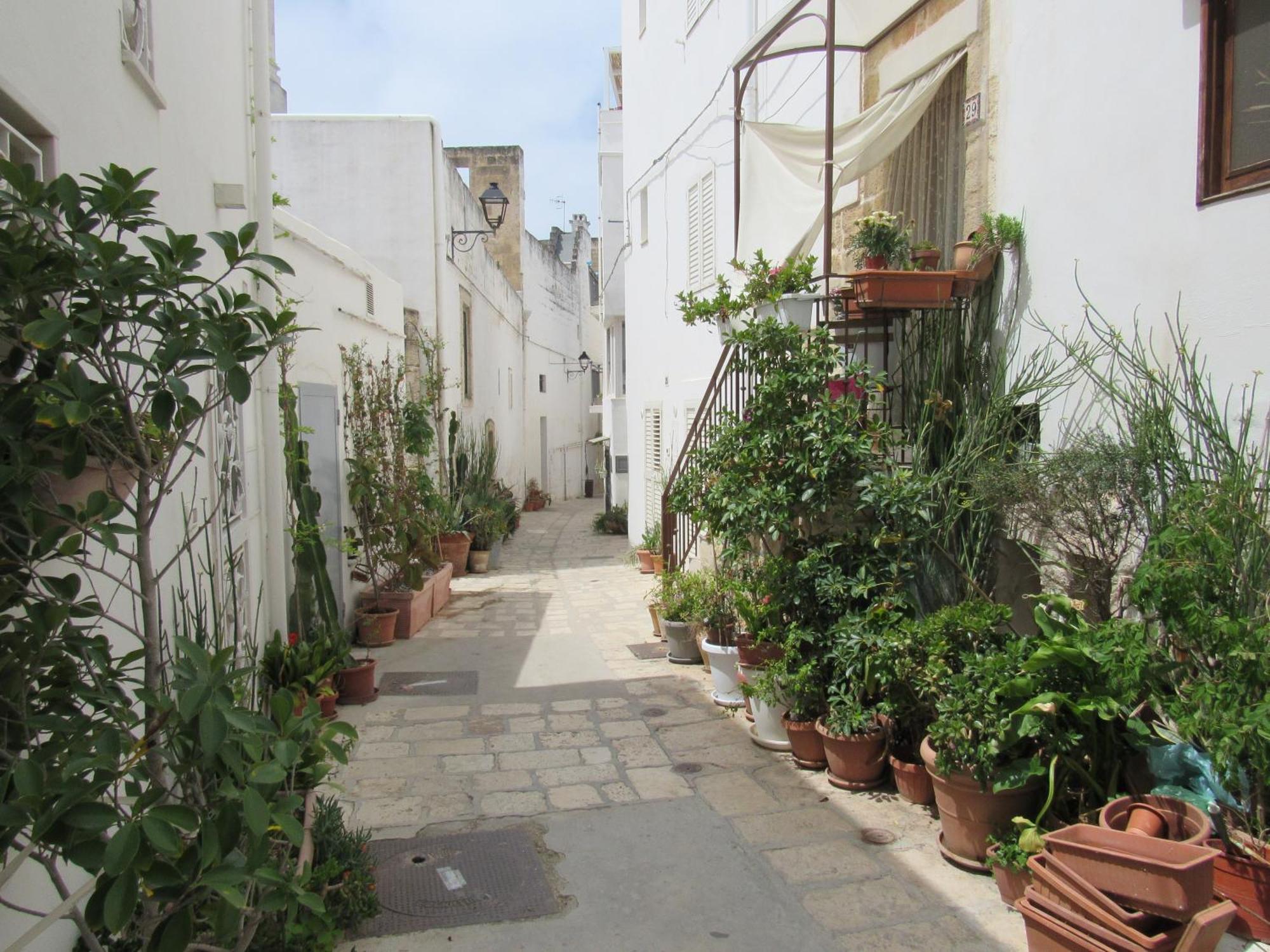 Vicolo Fiorito B&B Polignano a Mare Zewnętrze zdjęcie
